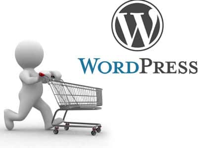 Wordpress eCommerce Plugins